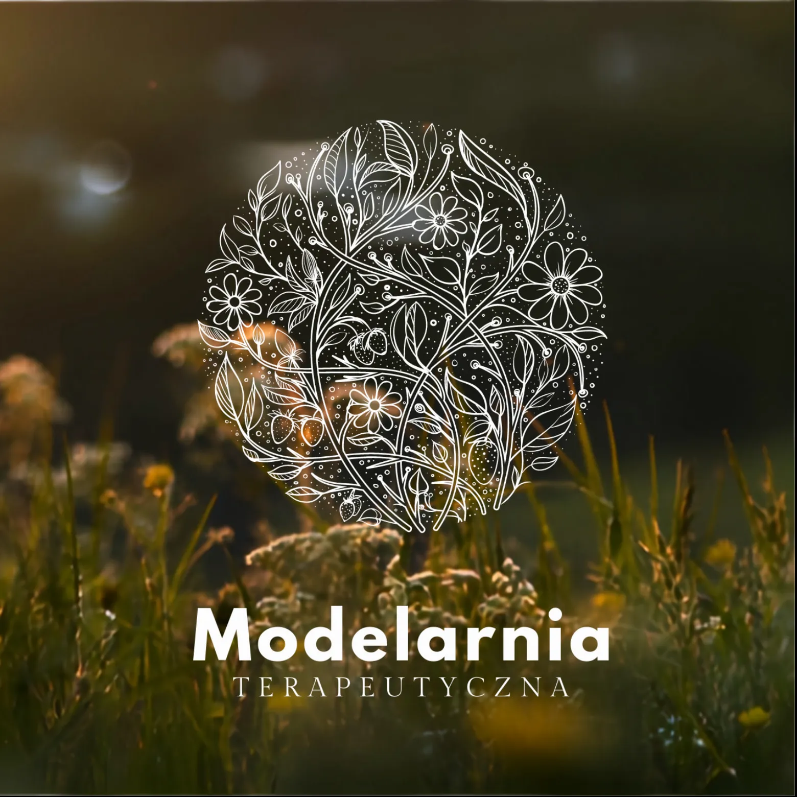 Łąka pełna traw i polnych kwiatów w złotym świetle, z logo Modelarni Terapeutycznej